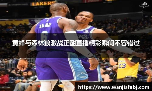 黄蜂与森林狼激战正酣直播精彩瞬间不容错过